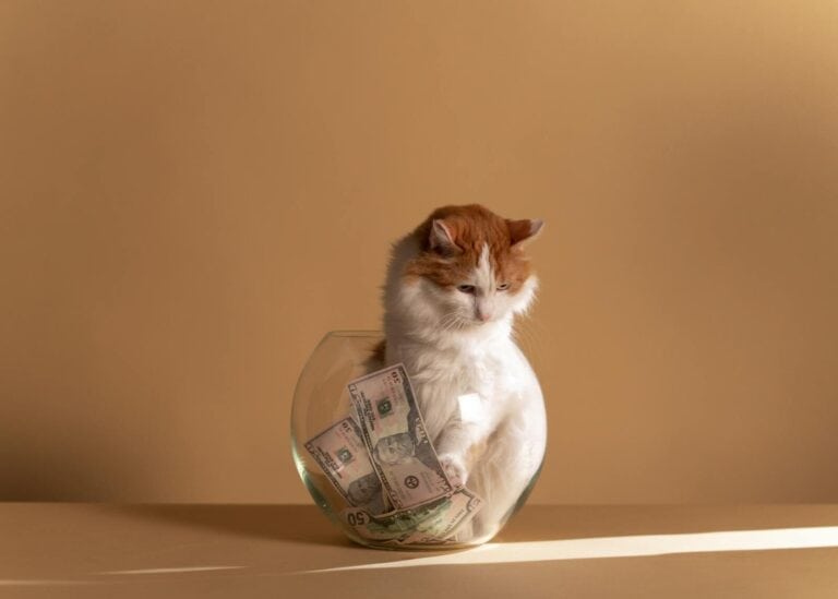Handling Payment and Deposits