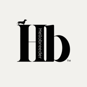 Become an animal transporter